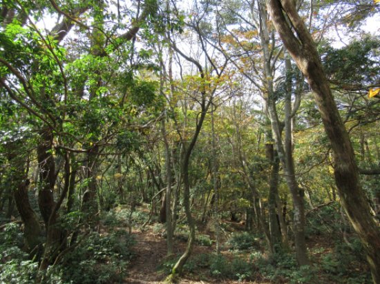 画像26